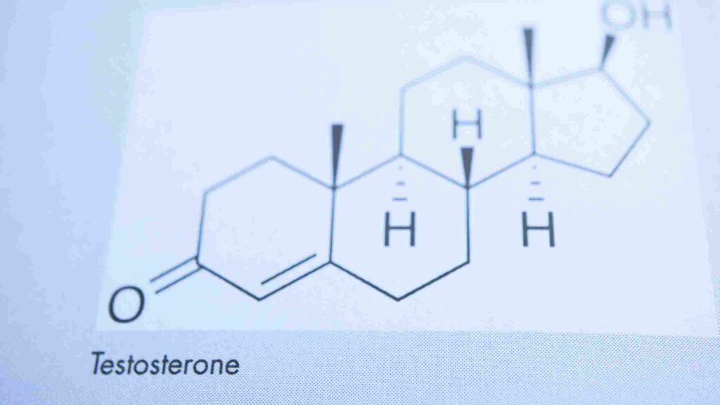 테스토스테론