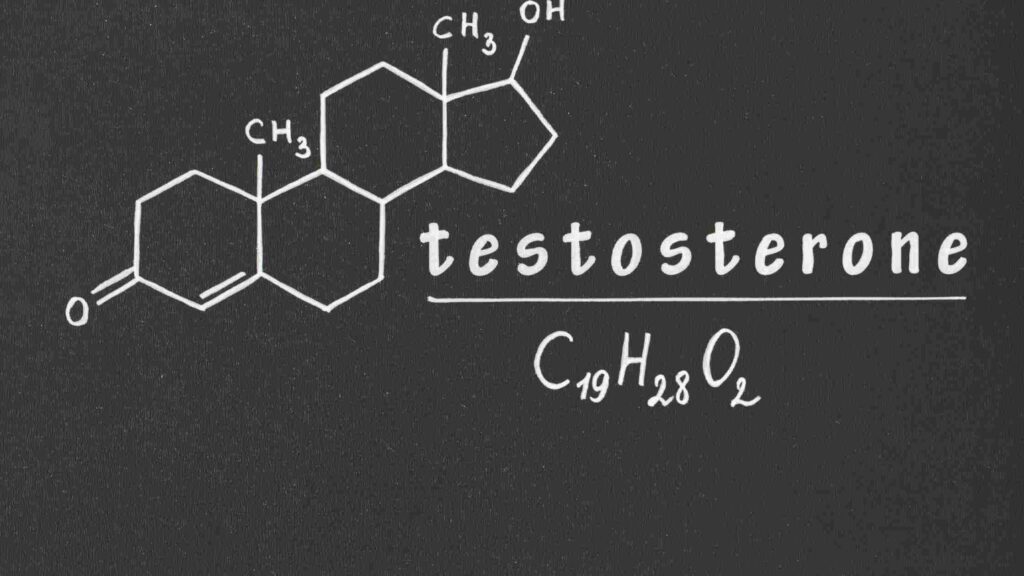 테스토스테론
